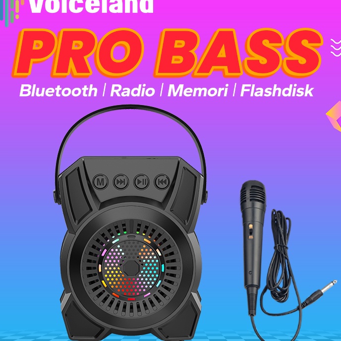 Hemat Tanpa Kompromi PRO BASSSpeaker Bluetooth Karaoke Polytron besar Super Bass Mini Protable Wirel