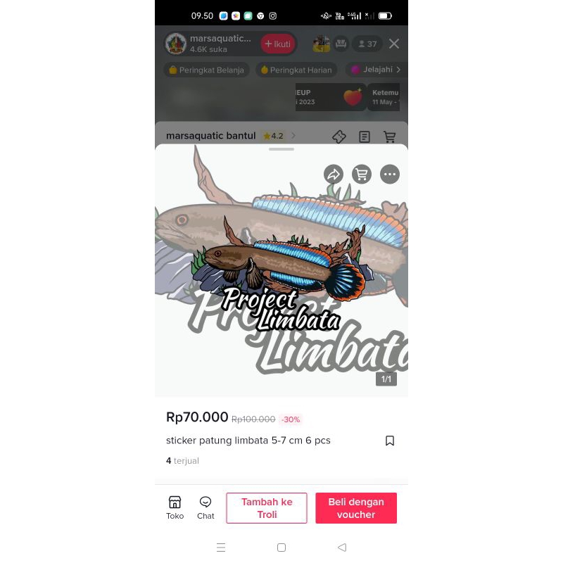 stiker Channa limbata cb