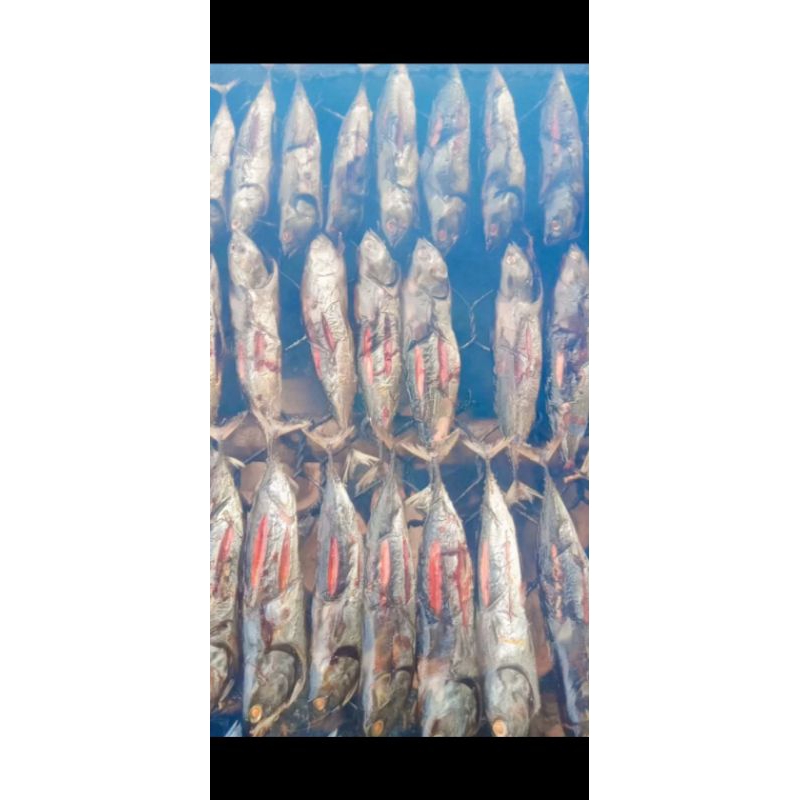 

cakalang asap khas maluku