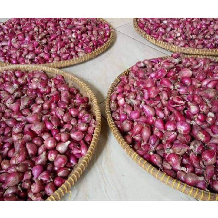 

bawang merah super asli garut segar 1kg-5kg