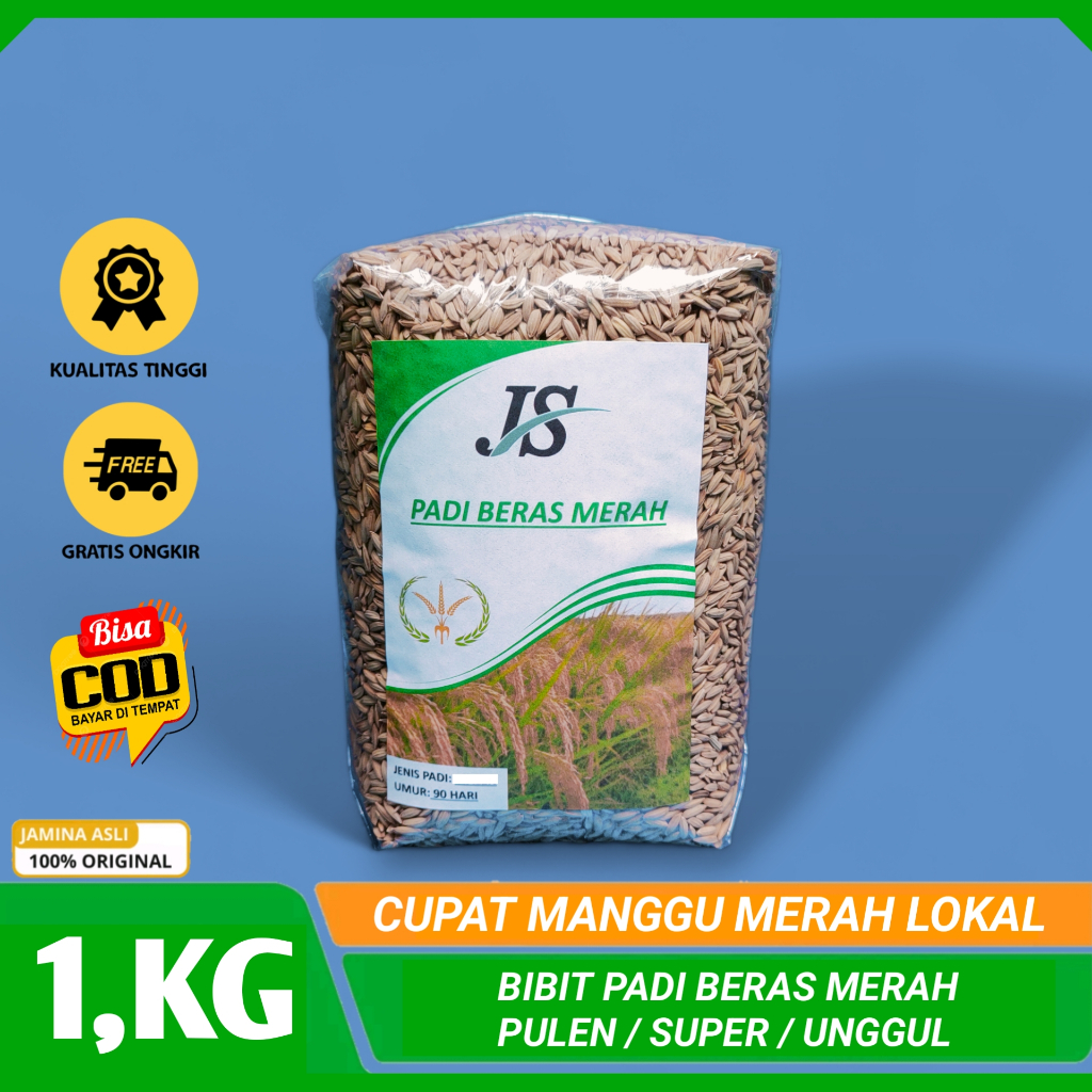 Benih Padi Beras Merah Pulen 1.kg / Bibit Benih Beras Merah Super Unggul