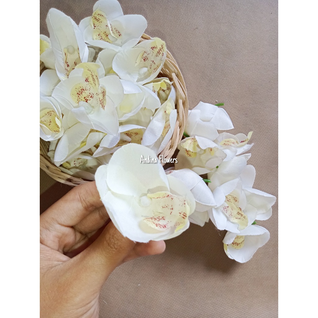 Pucuk Bunga Anggrek / Bunga Palsu / Kelopak Anggrek