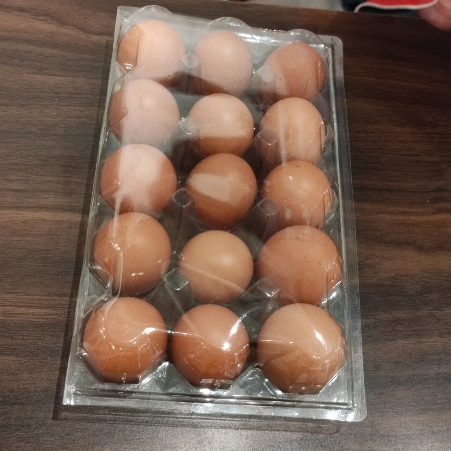 HS Egg tray / Mika Telur Tempat Telur negeri isi 15 + mika + tanpa kunci