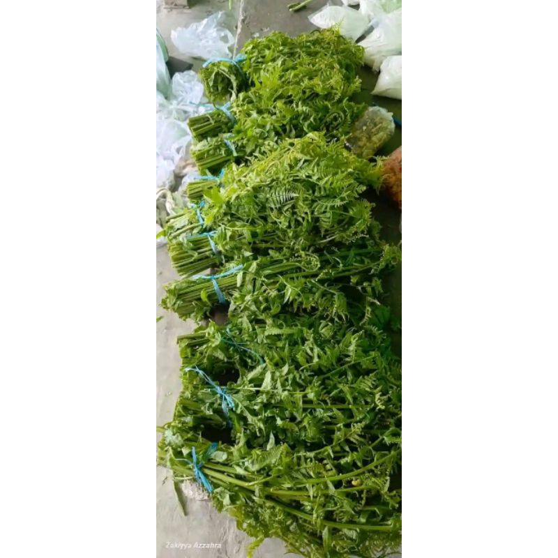 

jual pkis sayur perikat