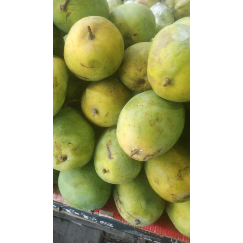 

MANGGA HARUM MANIS MATANG FRESS 1KG