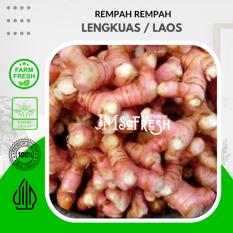

[JM_SoFresh] Lengkuas Segar / Laos Segar