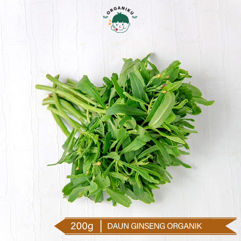 

Daun Ginseng Organik 200g / Organic Ginseng Leave 200g