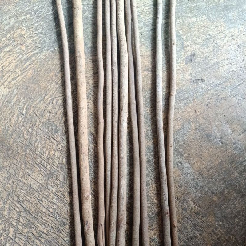 KAYU ASEM LAUT HALUS KAYU TANGKRINGAN BURUNG KAYU ASEM