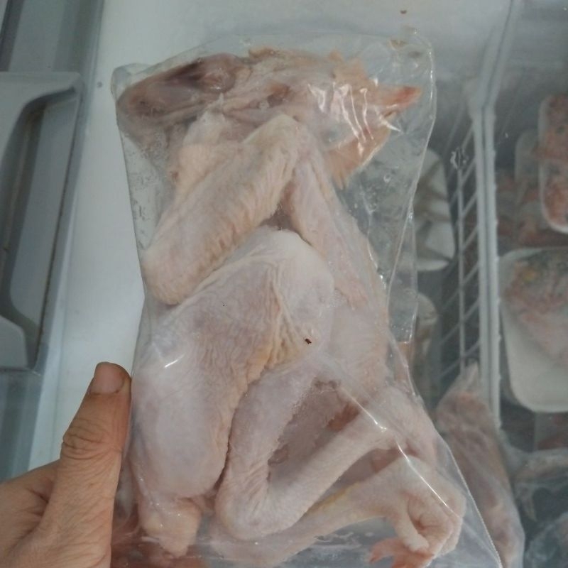 

Ayam Pejantan