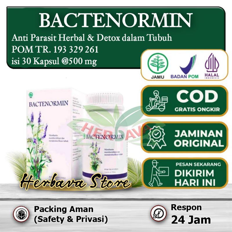 Bactenormin Asli Original 100% Resmi BPOM Obat Penghilang Anti Cacing Parasit Herbal Sembuh Alami