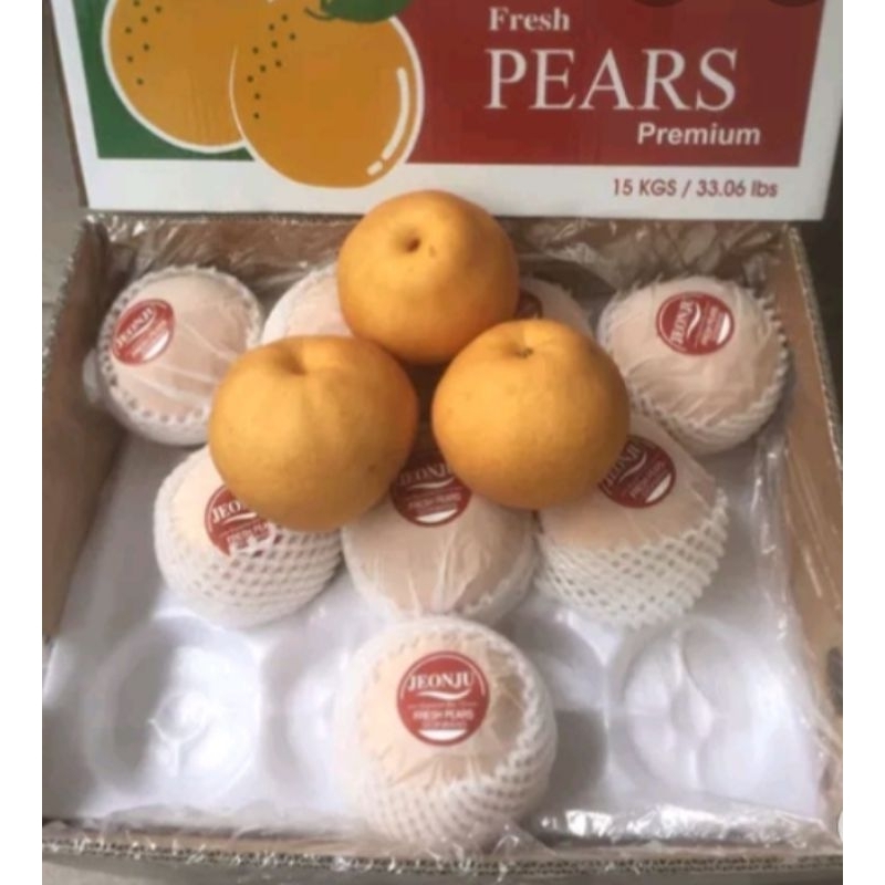 Buah pear pir singo Korea 1Dus fresh import