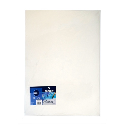

CANSON MONTVAL COLOR A2 AQ CP 22G 5 SHEETPACK ART U9D1