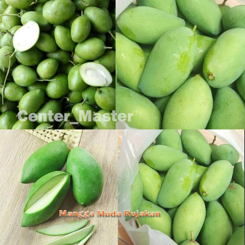 

mangga muda 1 kg/ mangga rujak buah mangga / buah segar mangga untuk rujakan