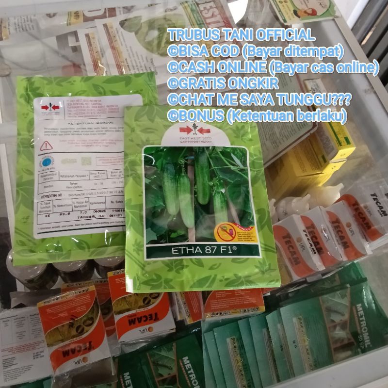 Benih Bibit Timun Etha 87 F1 (Tidak Pahit, Buah Lebat, Disukai Pasar) Isi Benih 800 Butir Kadaluarsa