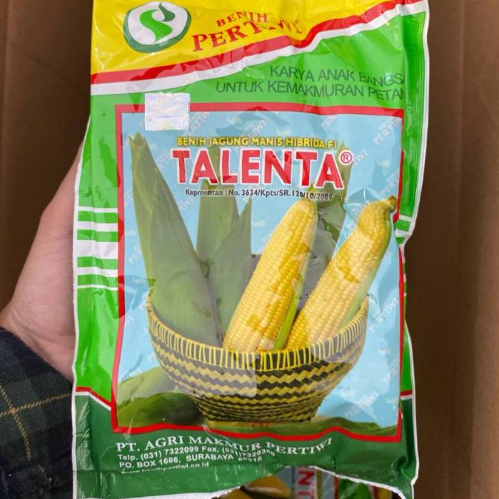 

TALENTA PERTIWI benih jagung manis 250gram