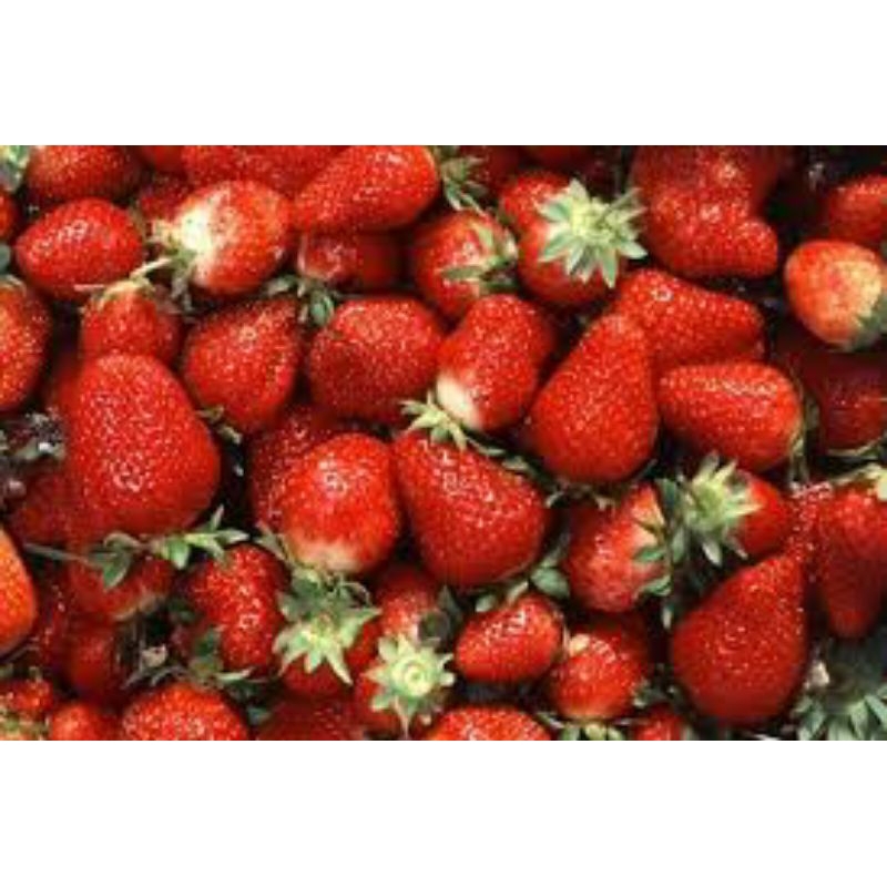

Buah stroberi perpak