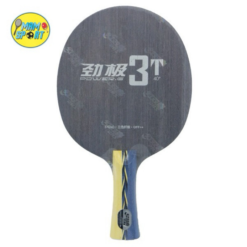 Kayu Bet Pingpong Tenis Meja DHS POWER G 3T PG3T 40++ FL Original