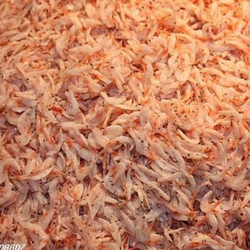 

(PALEMBANG) UDANG RAGU 100 GRAM