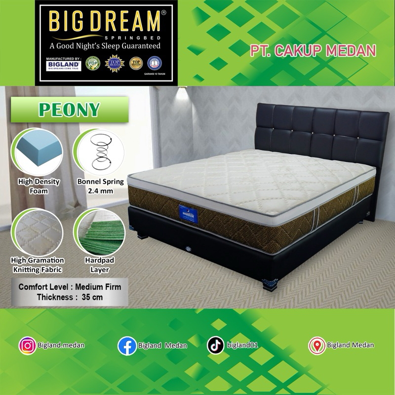 Springbed Bigland Bigdream Peony