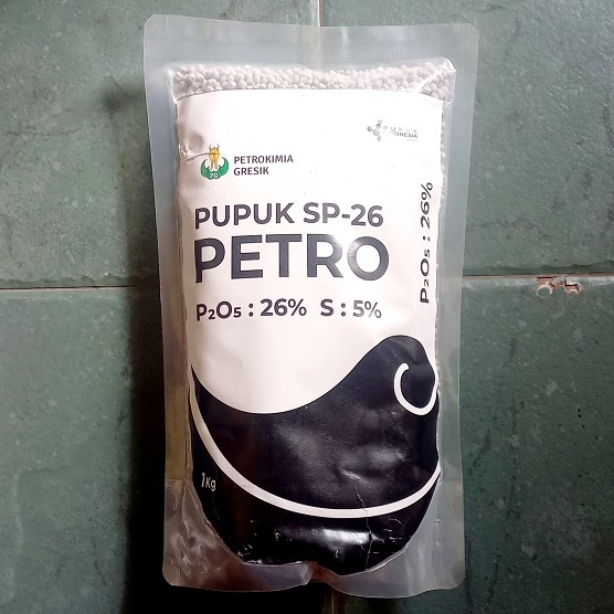 SP-26 Pupuk Petro SP26 Meningkatkan Mutu Hasil Panen