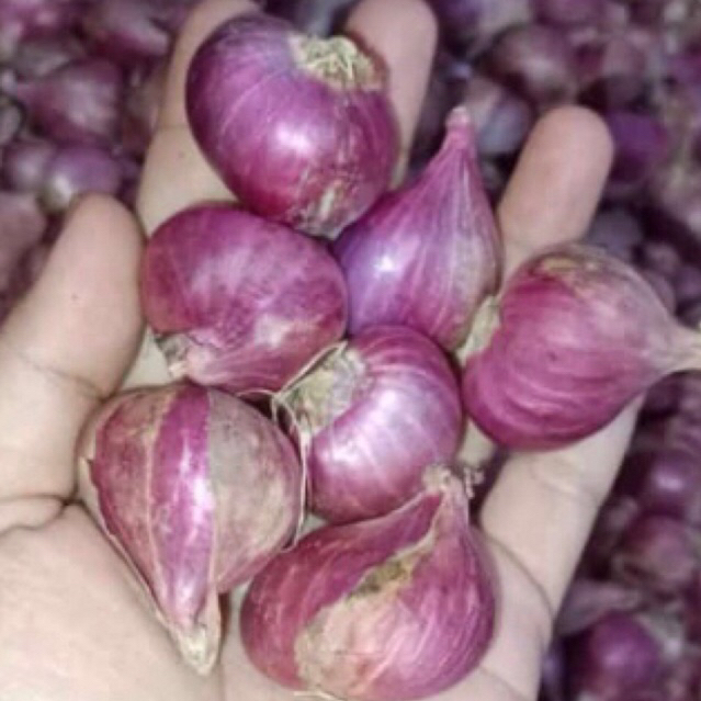 

Bawang Merah Berkualitas / Berambang 500 gr