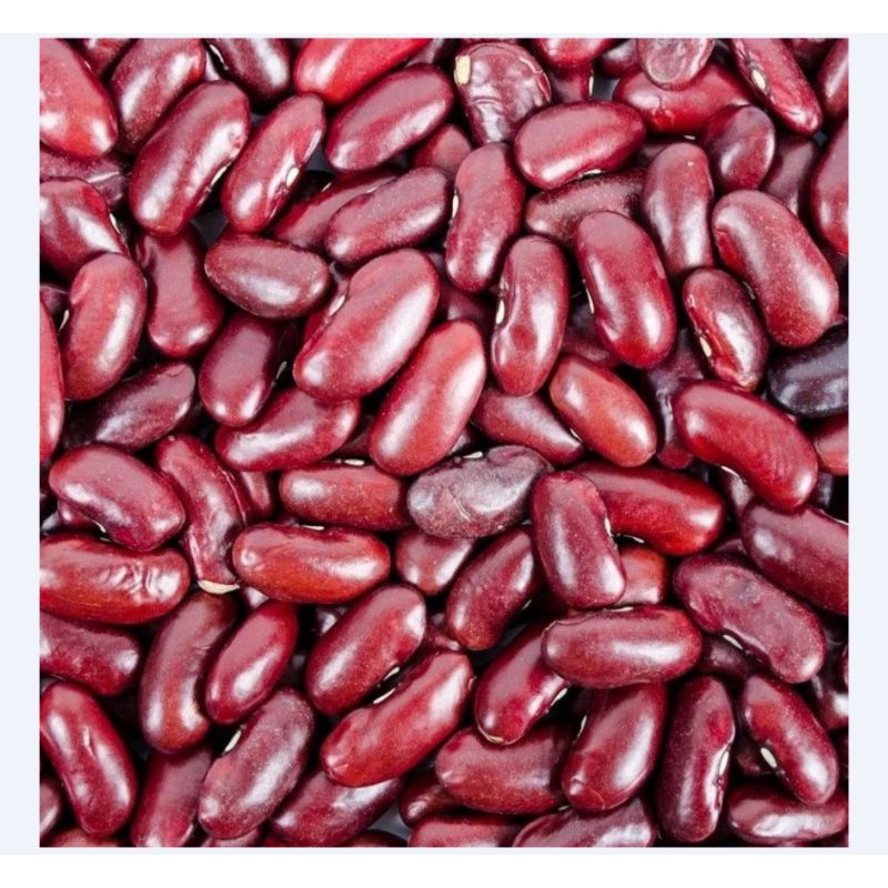 

Kacang merah