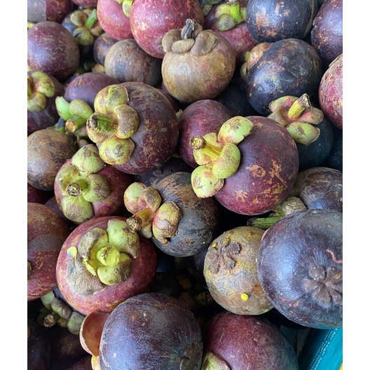 

99 BRANDS FESTIVAL Buah Manggis 1kg