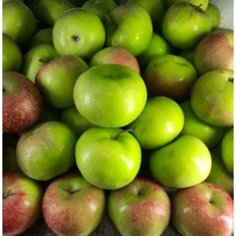 buah apel malang super 1 kg / apel malang fresh 1 kg