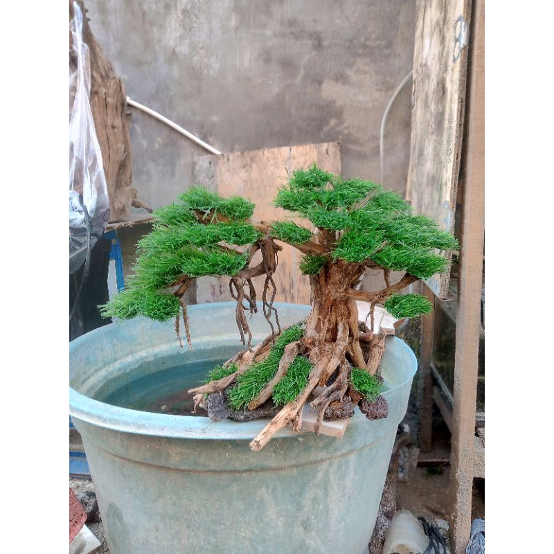 bonsai aquascape daun sintetis