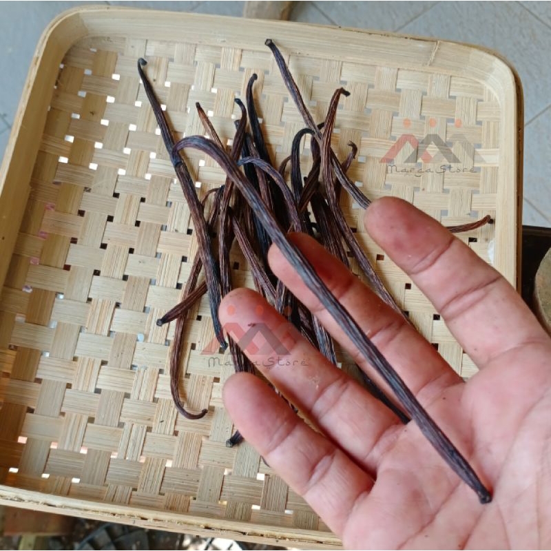 

Vanili Kering 50gr Vanilla Beans