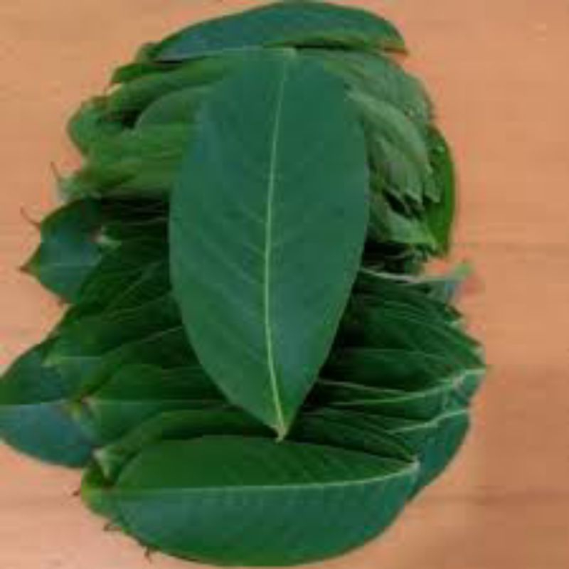 

DAUN BUNGUR SEGAR 500 GRAM
