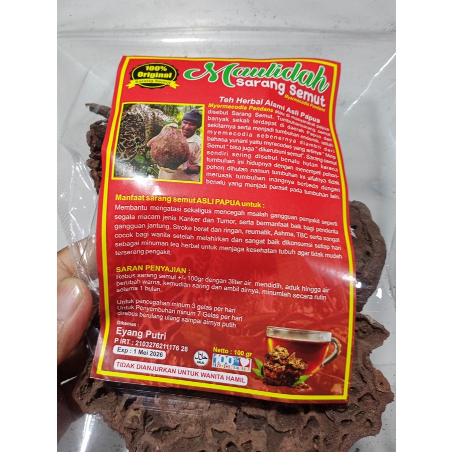 

Sarang semut asli papua asli 100gr
