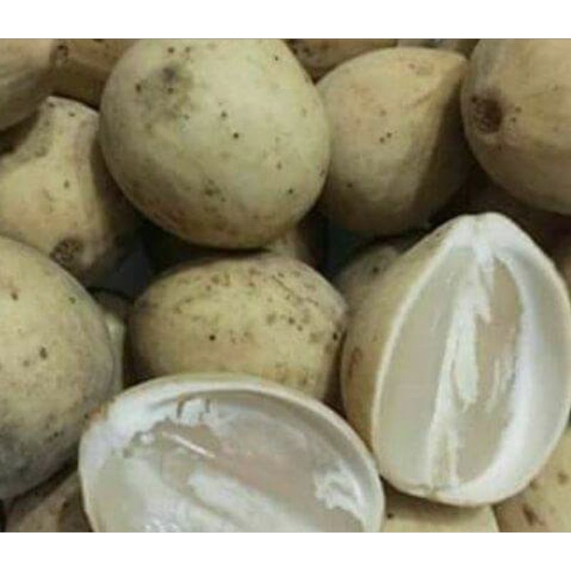 Buah langsat