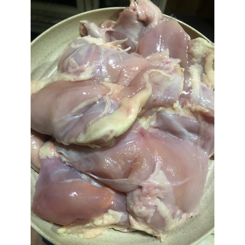 

PAHA| PAHA FILLET | PAHA FILLET TANPA KULIT