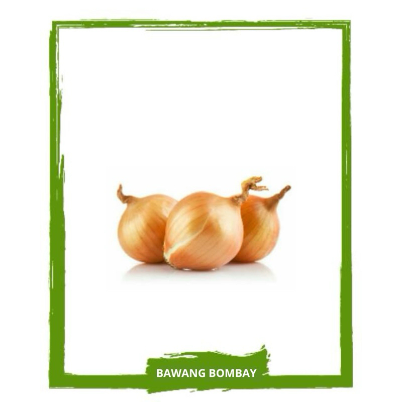 

Bawang Bombay / Bombai / Bombai Merah / Sayur Sayuran Segar By Mallahrizwa