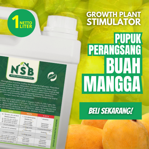 Pupuk Mangga Agar Berbuah Lebat dan Tidak Rontok / Pupuk Perangsang Buah Mangga / Pupuk Buah Mangga