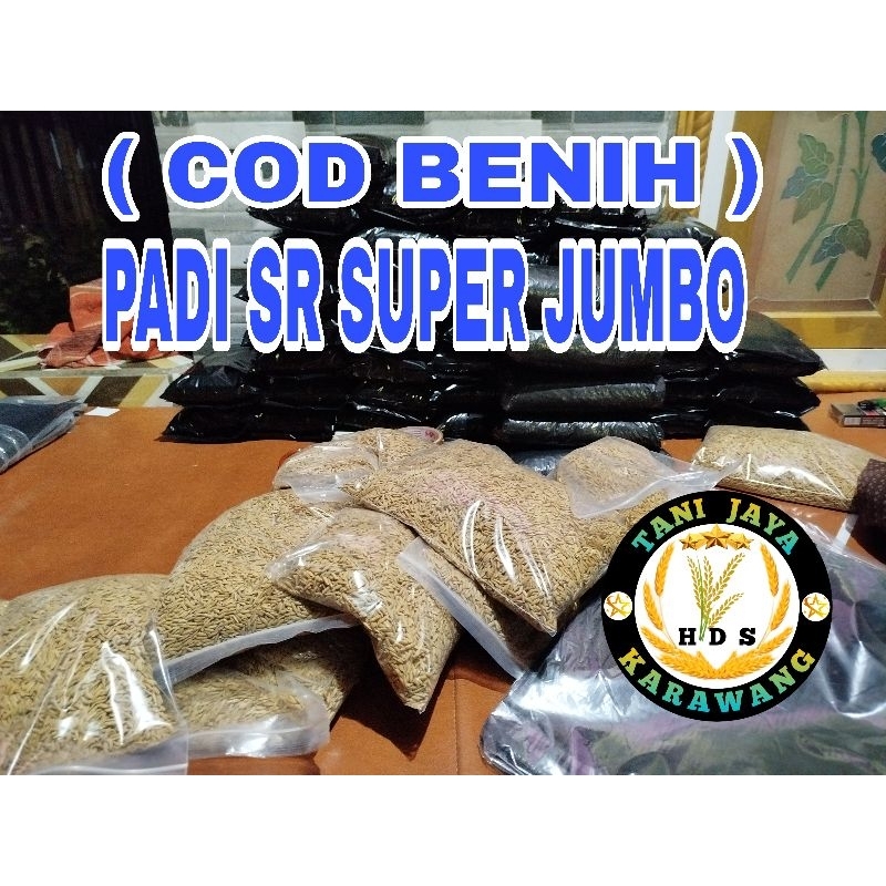 BENIH PADI SUPER GENJAH BERBOBOT SR 1KG