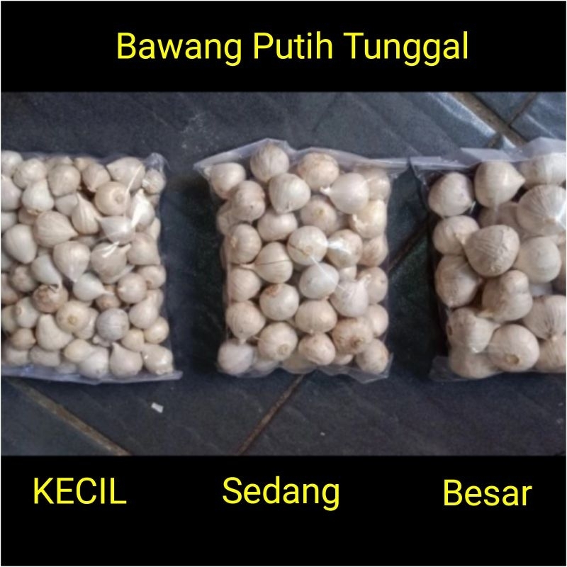 

Bawang Putih Lanang/Bawang Tunggal/Bawang Lanang 100gr