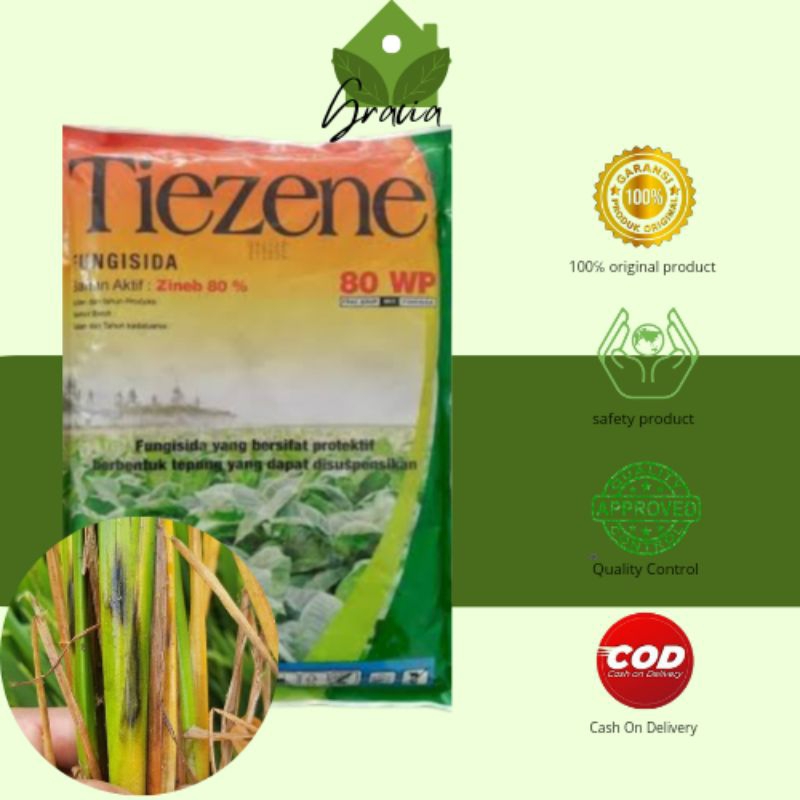 FUNGISIDA TIEZENE PENCEGAH BUSUK BATANG DAN DAUN FUNGISIDA SISTEMIK ZINEB 80%