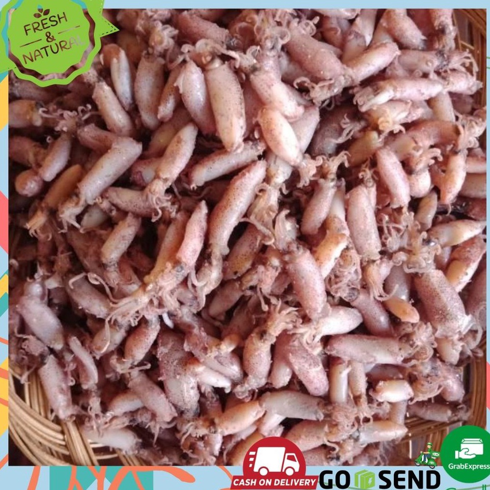 

Maxi Promo BABY CUMI CUMI KERING ASIN 1 KG 24cm FRESH