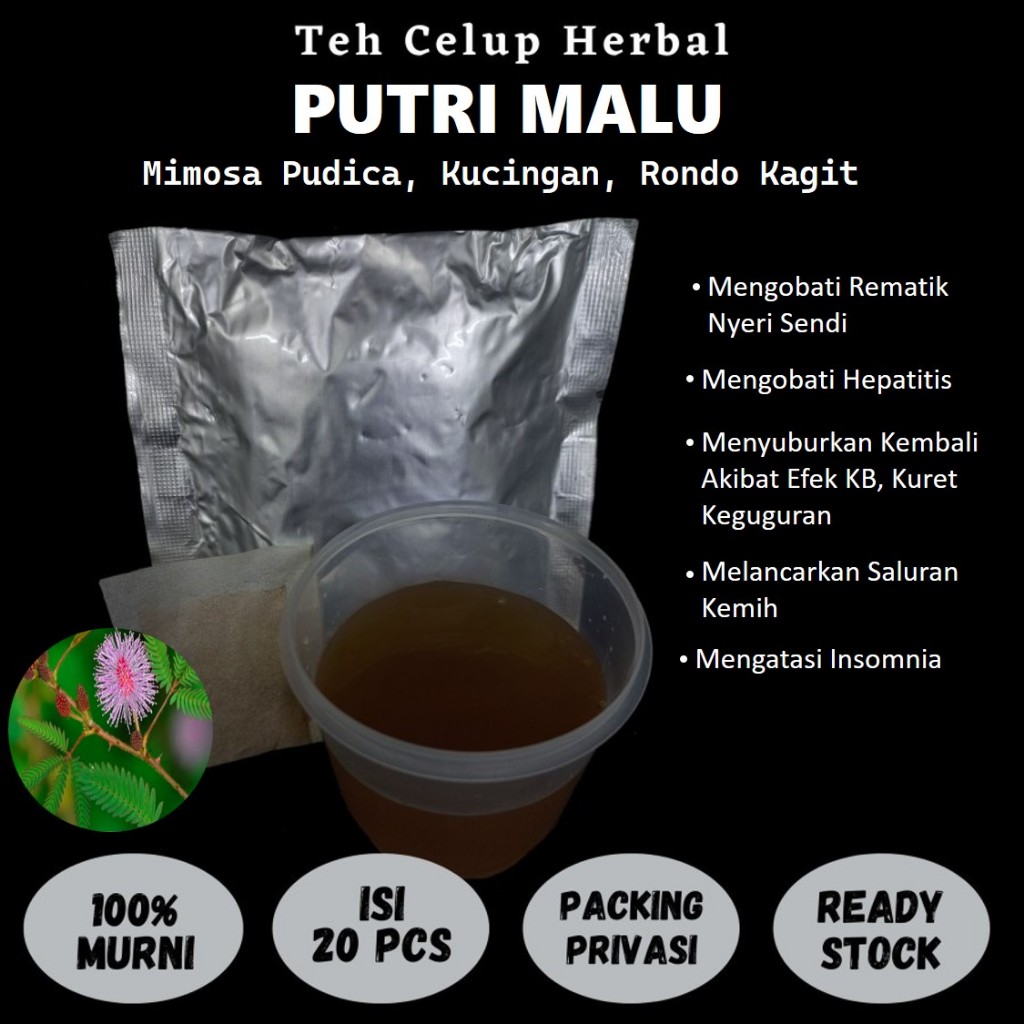 

Teh Celup Herbal PUTRI MALU Luka Diabetes Saluran Kemih Bronkitis Insomnia