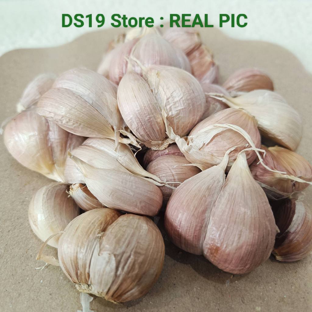 Bawang Putih Kating 250 Gram - 1 Kg