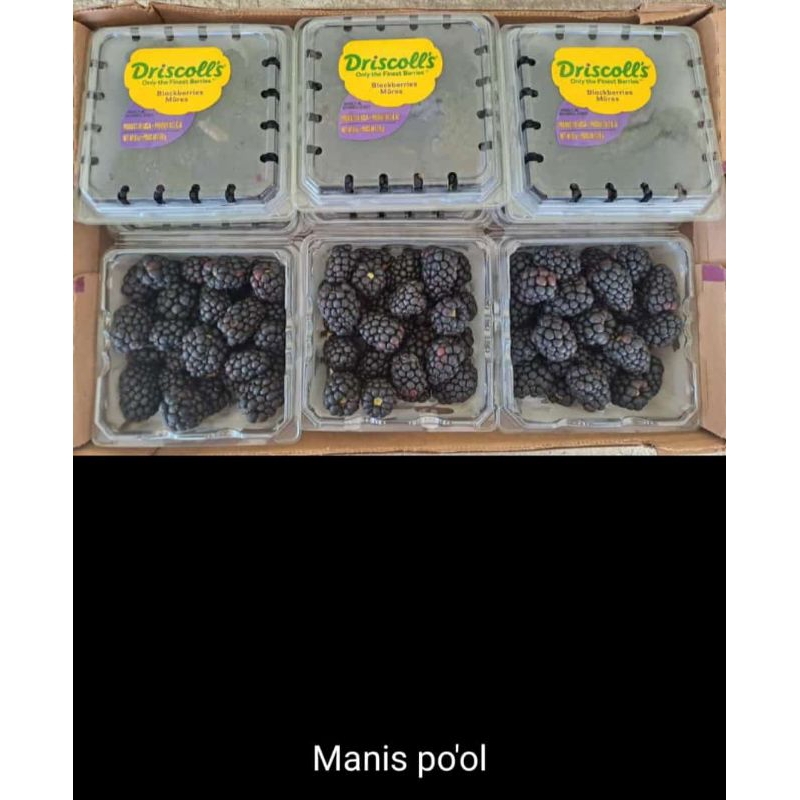 

Blackberry Driscoll's Australia berat 170 grm /pack