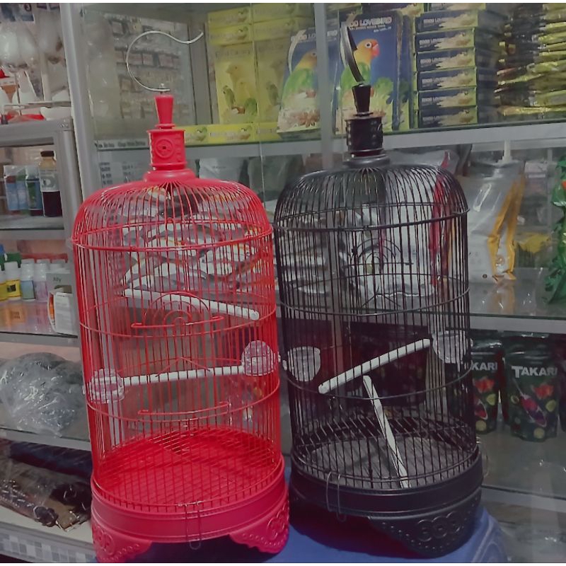 Sangkar Burung Dragon sangkar lovebird sangkar besi bulat sangkar pleci sangkar ogon sangkar burung 