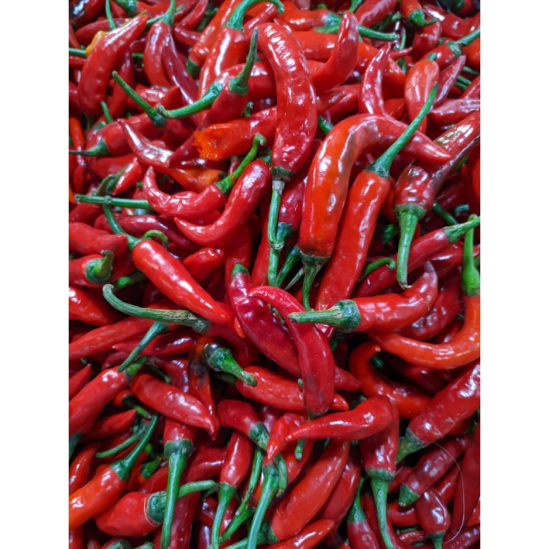 

cabe merah gede TW 250gram