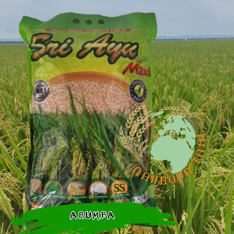 Benih padi Inpari ARUMBA beras merah 5kg