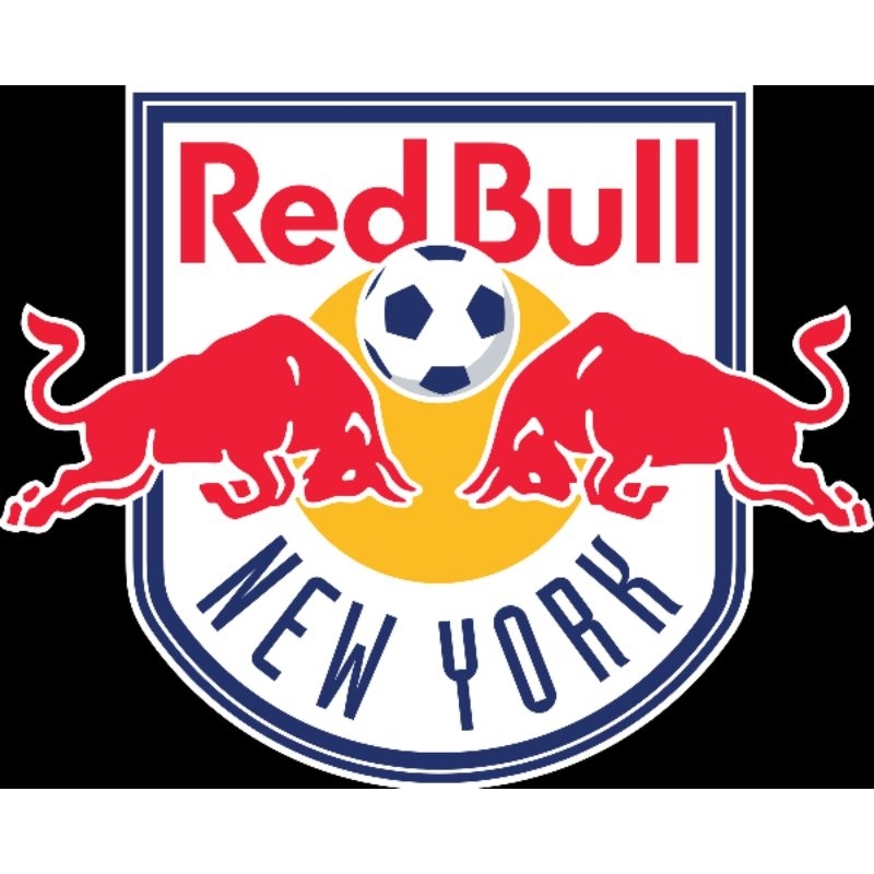 JERSEY NEW YORK RED BULL (BARU)