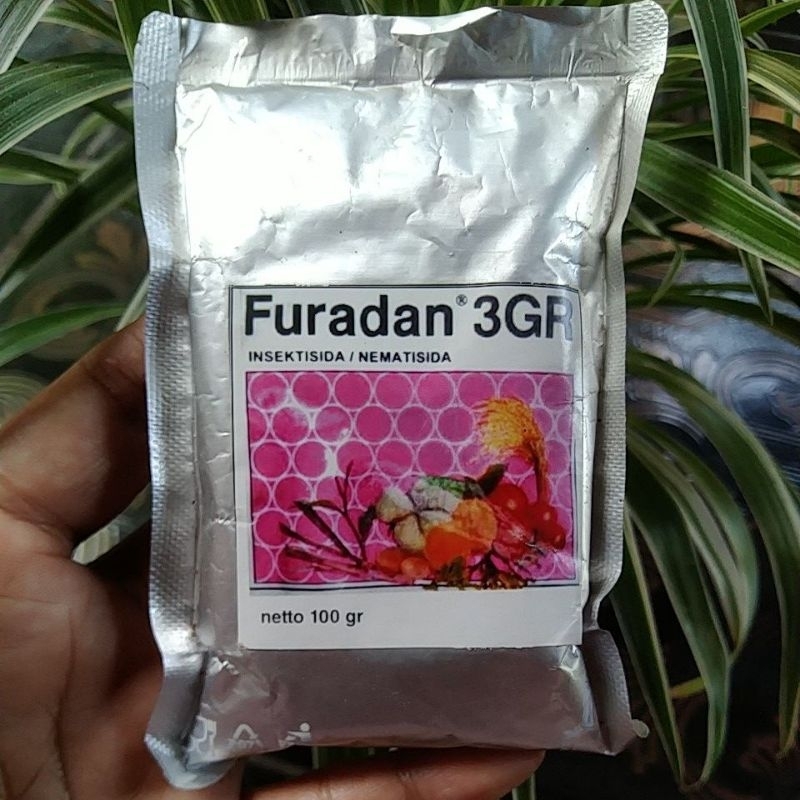 Insektisida Furadan 3GR