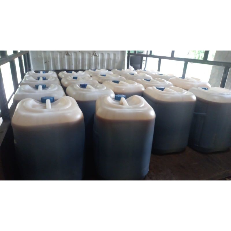

MADU AKASIA GROSIR | MADU AKASIA CARPA 50 KG