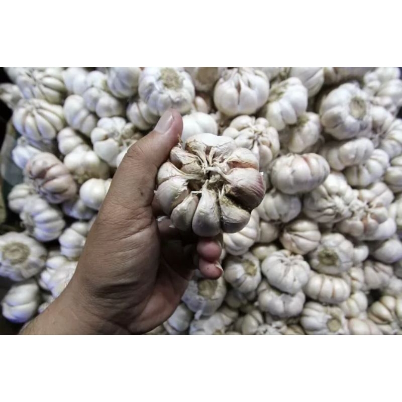

BAWANG PUTIH IMPORT SUDAH DISORTIR 1 KG